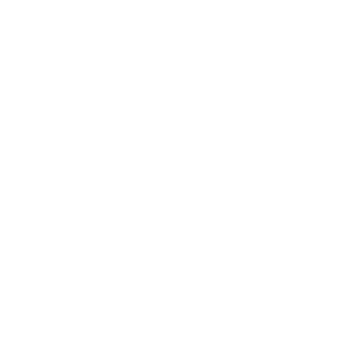 erik-store